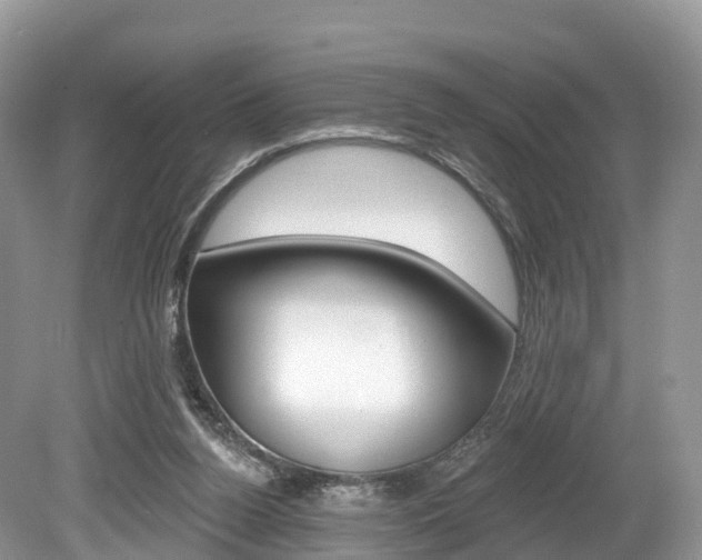 X0000080150160200612081101