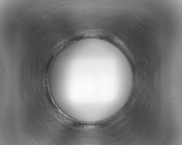 X0000080150161200612081101