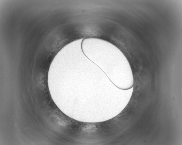 X0000080150162200612081101