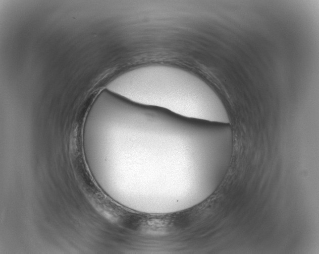 X0000080150163200612081101