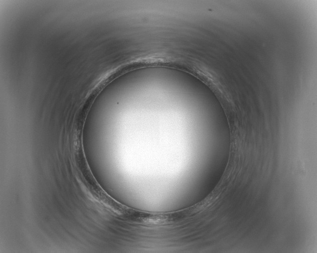 X0000080150164200612081101