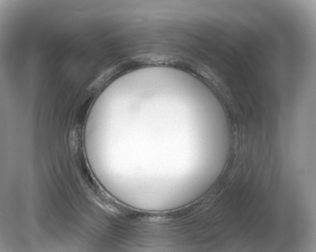 X0000080150165200612081101