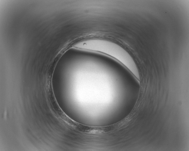X0000080150168200612081101