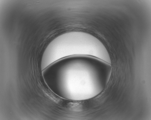 X0000080150170200612081101