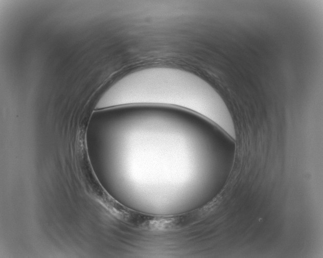 X0000080150172200612081101
