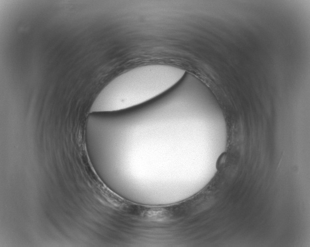 X0000080150173200612081102