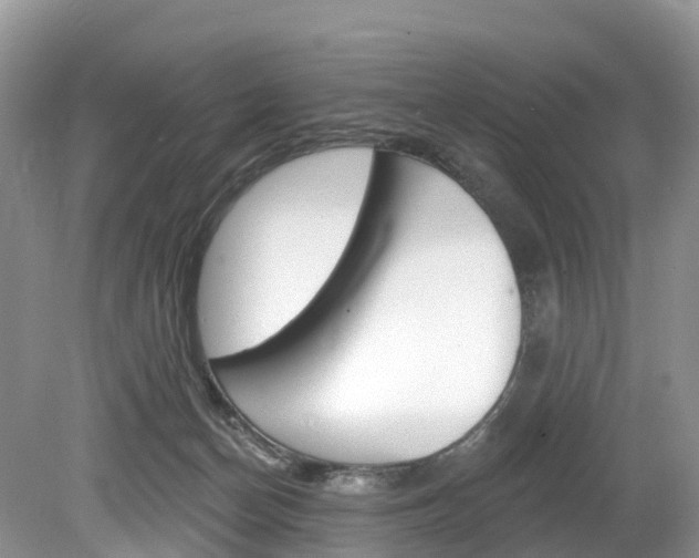 X0000080150174200612081102