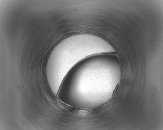 X0000080150176200612081102