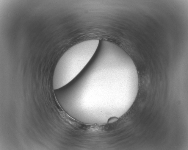 X0000080150177200612081102