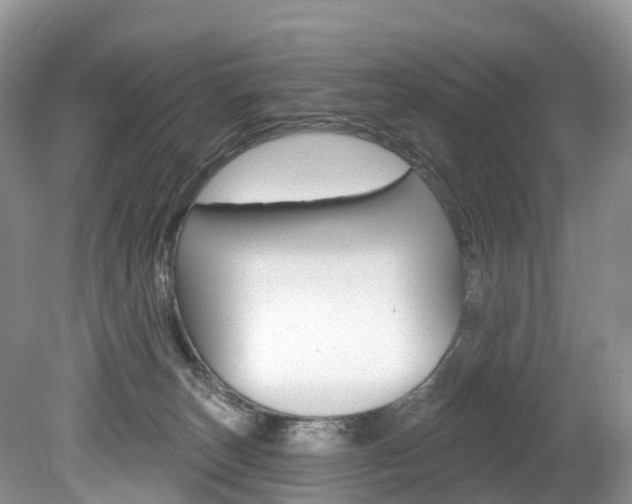 X0000080150179200612081102