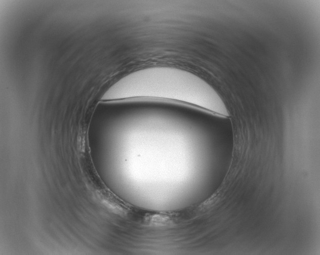 X0000080150180200612081102