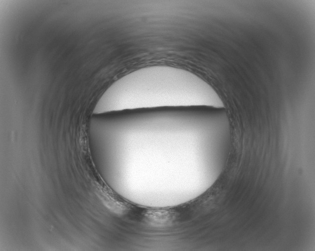 X0000080150181200612081102