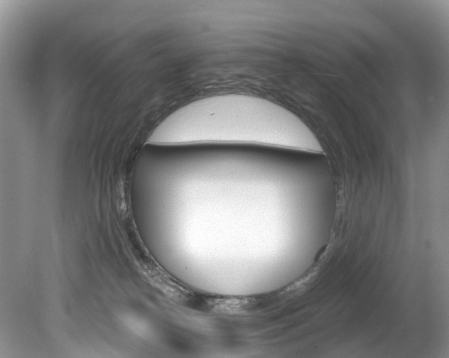 X0000080150182200612081102