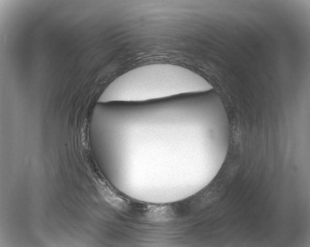 X0000080150185200612081102