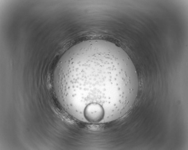 X0000080150187200612081102