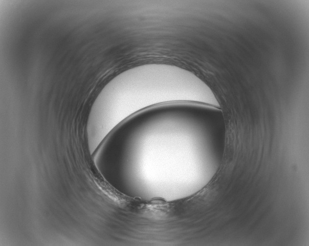X0000080150188200612081102