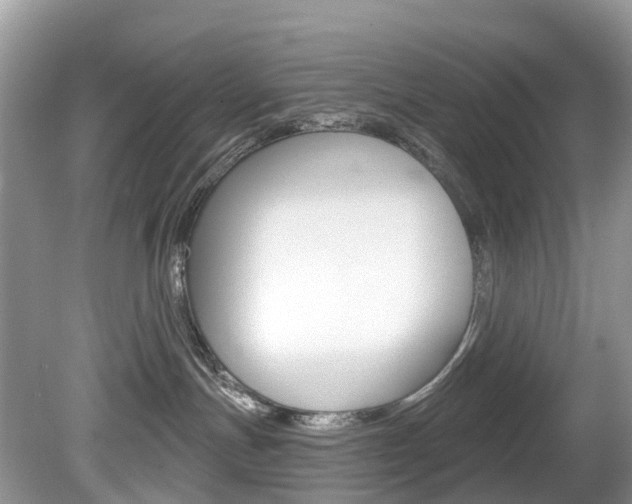 X0000080150191200612081102