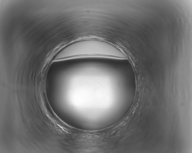 X0000080150193200612081101