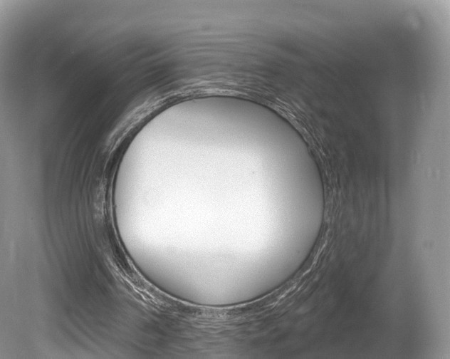 X0000080150194200612081101