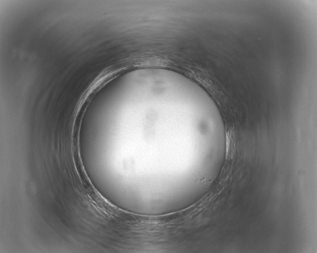 X0000080150195200612081101