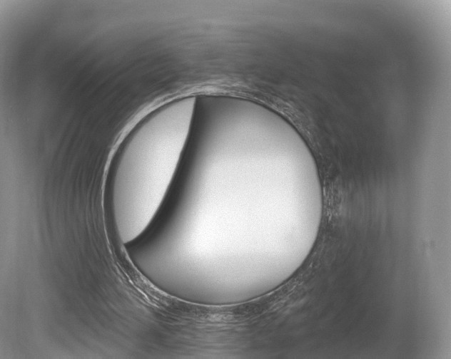 X0000080150196200612081101