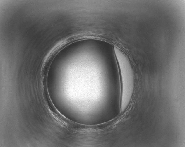 X0000080150197200612081101
