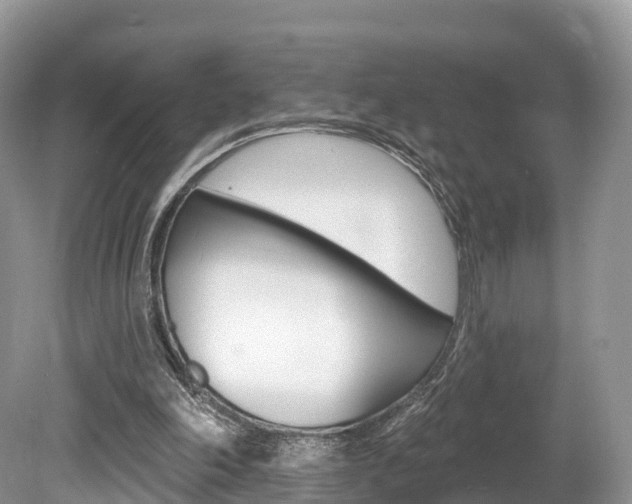 X0000080150198200612081101