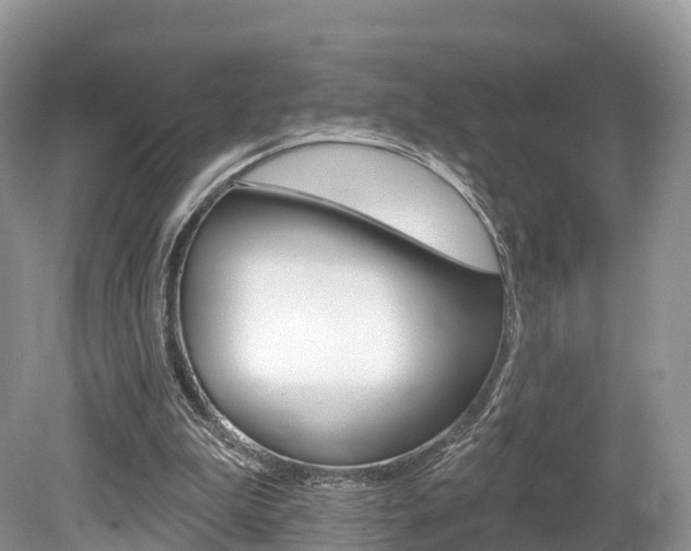 X0000080150199200612081101