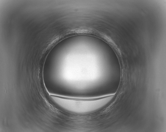 X0000080150201200612081101