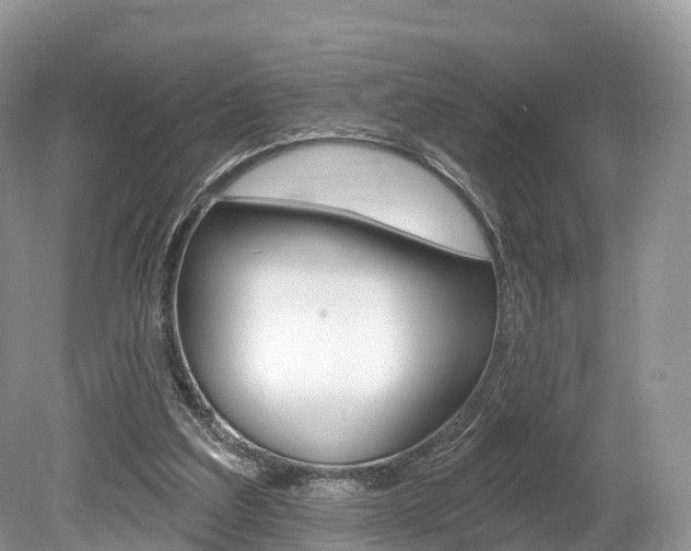X0000080150203200612081101