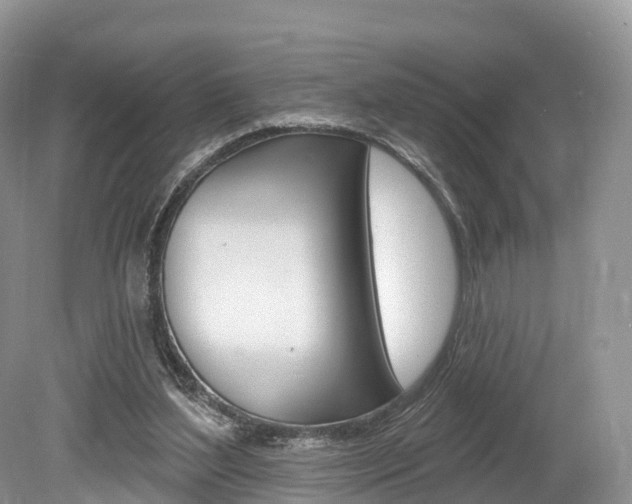 X0000080150204200612081101