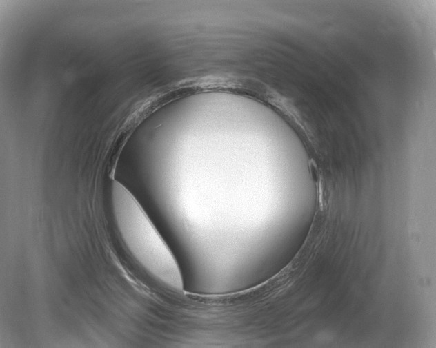 X0000080150205200612081101