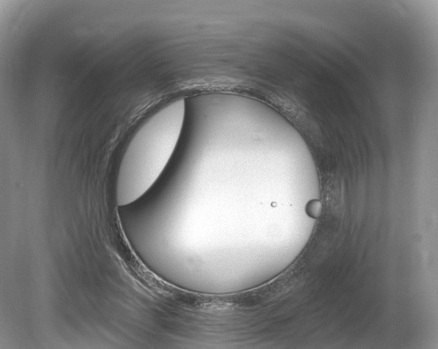 X0000080150206200612081101