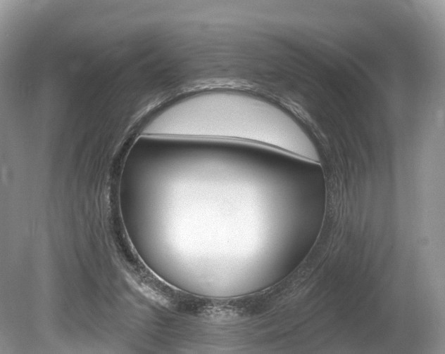 X0000080150207200612081101