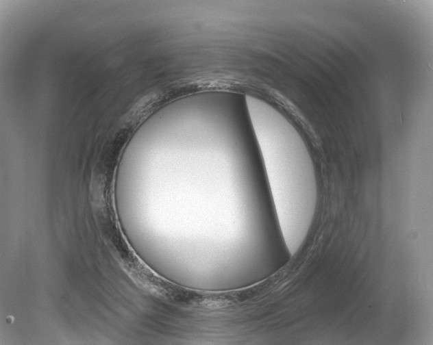 X0000080150209200612081101