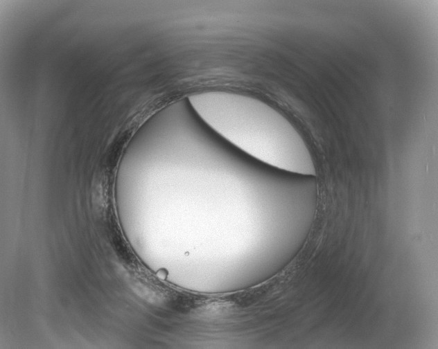 X0000080150210200612081101