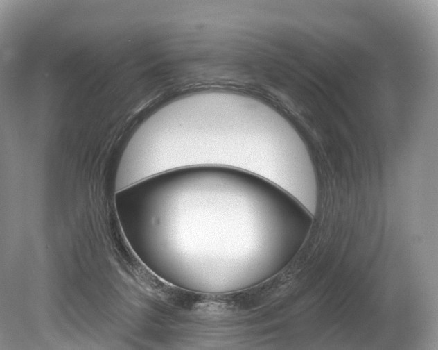 X0000080150211200612081101