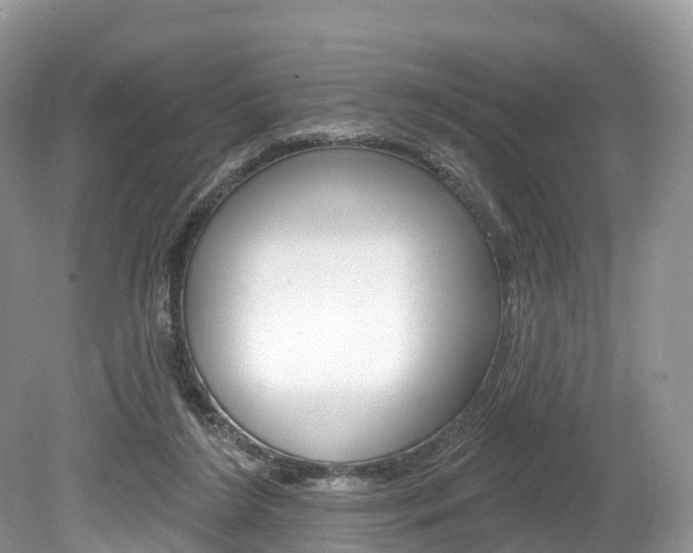X0000080150212200612081101
