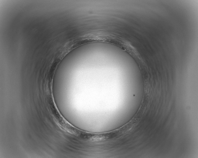 X0000080150213200612081101