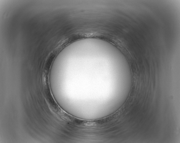 X0000080150214200612081101