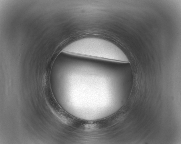 X0000080150216200612081101