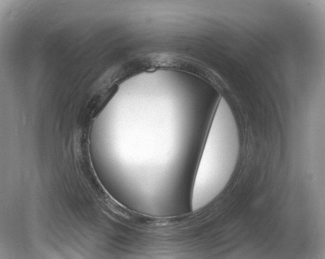 X0000080150217200612081101