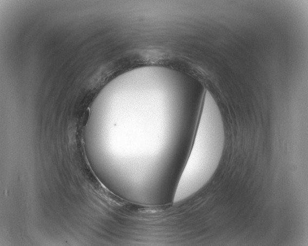 X0000080150221200612081101