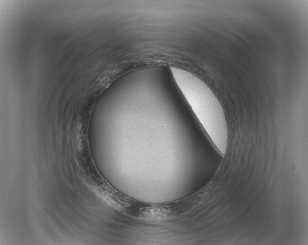 X0000080150223200612081101