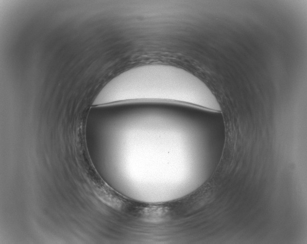 X0000080150225200612081100