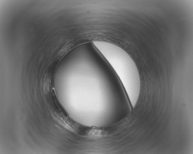 X0000080150227200612081100