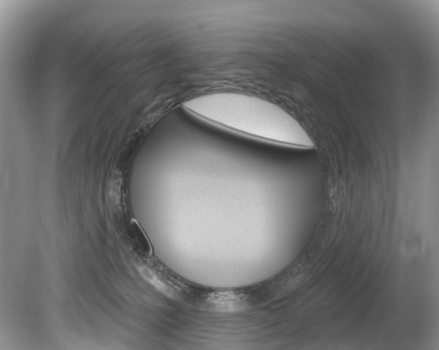 X0000080150231200612081100