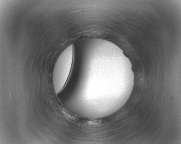 X0000080150232200612081100