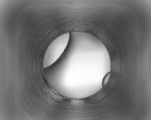 X0000080150234200612081100