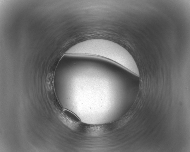X0000080150237200612081100